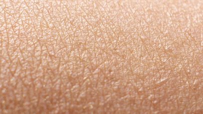 egészséges bőr barrierje
